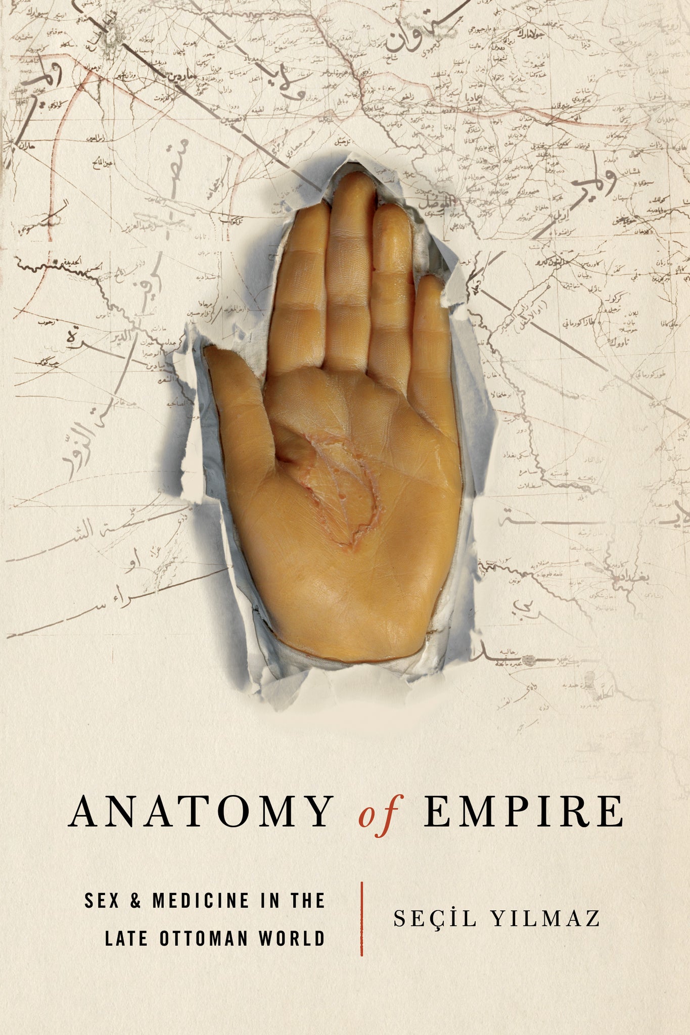 Cover image for Anatomy of Empire ISBN 9781503647770